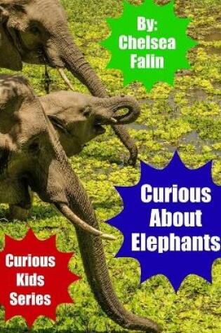 Cover of Curious About Elephants