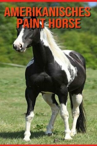 Cover of Amerikanisches Paint Horse