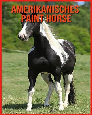 Book cover for Amerikanisches Paint Horse