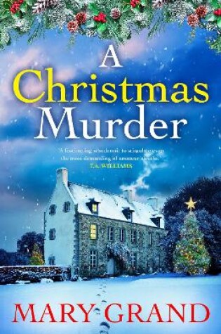 Cover of A Christmas Murder