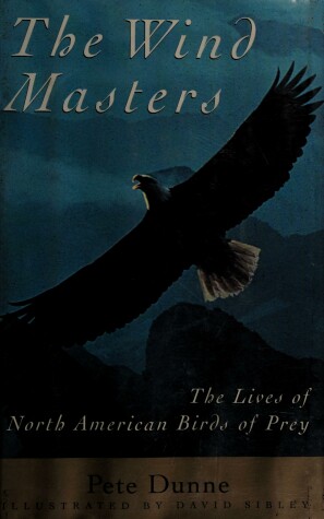 Book cover for The Wind Masters