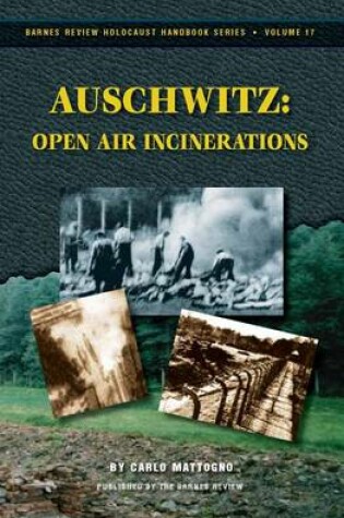 Cover of Auschwitz: Open Air Incinerations
