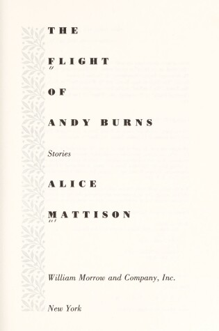 Cover of The Flight of Andy Burns
