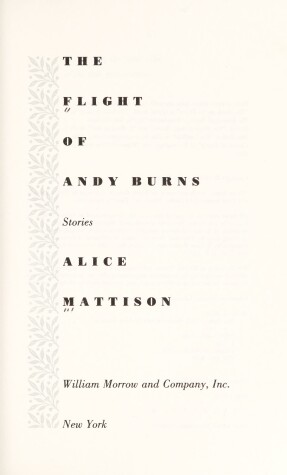 Book cover for The Flight of Andy Burns