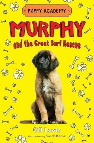 Cover of Murphy and the Great Surf Rescue