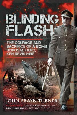 Book cover for Blinding Flash