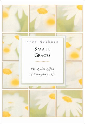 Book cover for Small Graces