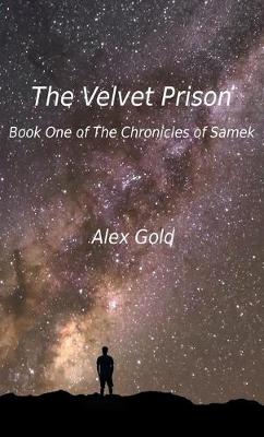 Book cover for The Velvet Prison