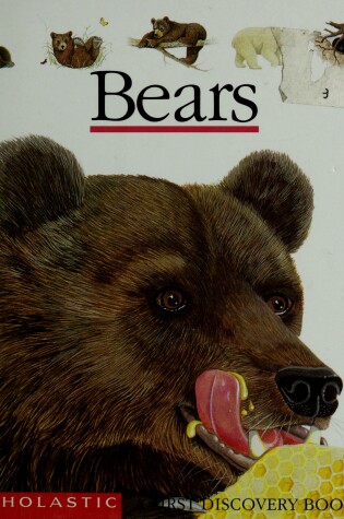 Cover of Bears