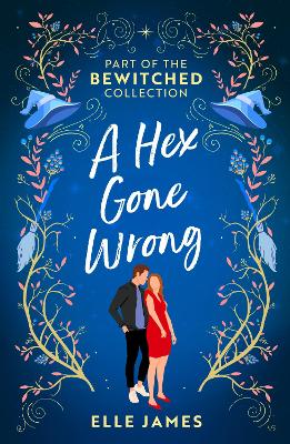 Cover of Bewitched: A Hex Gone Wrong