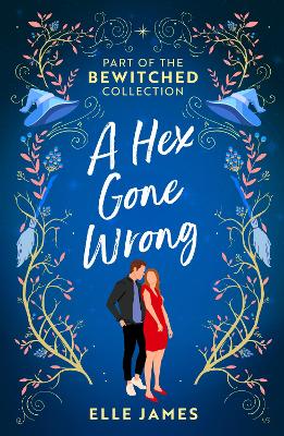 Book cover for Bewitched: A Hex Gone Wrong