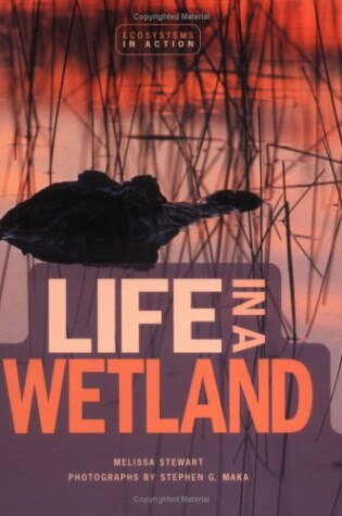 Cover of Life in a Wetland