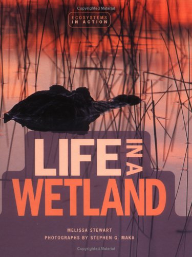 Cover of Life in a Wetland