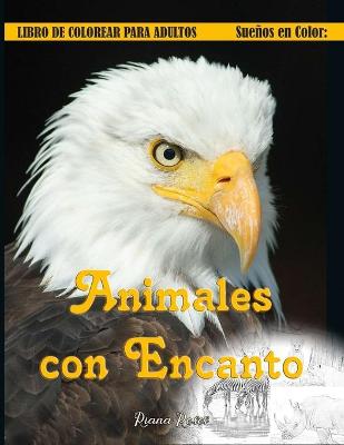 Book cover for Suenos en Color