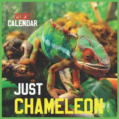 Book cover for Just CHAMELEON CALENDAR 2022