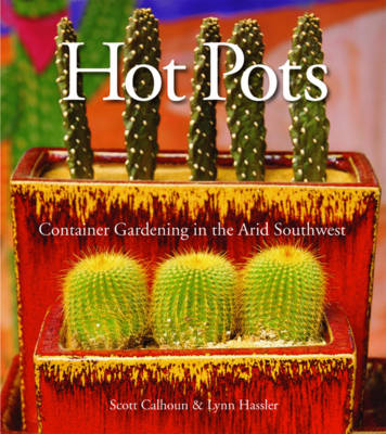 Book cover for Hot Pots