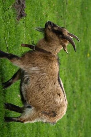 Cover of A Billy Goat Kid Strolling Through the Grass