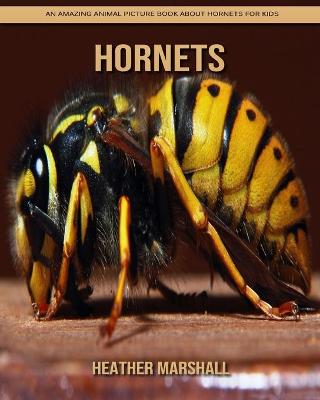 Book cover for Hornets