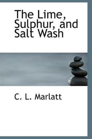 Cover of The Lime, Sulphur, and Salt Wash