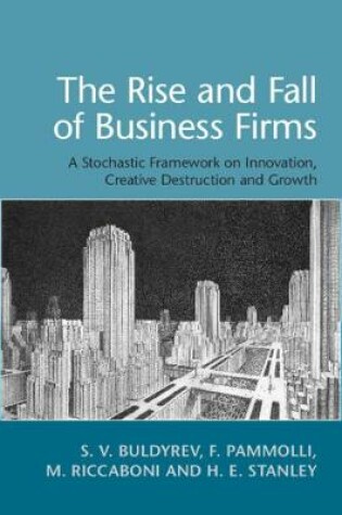 Cover of The Rise and Fall of Business Firms