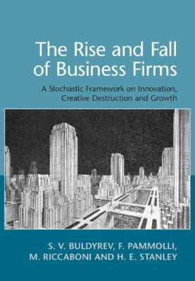 Book cover for The Rise and Fall of Business Firms