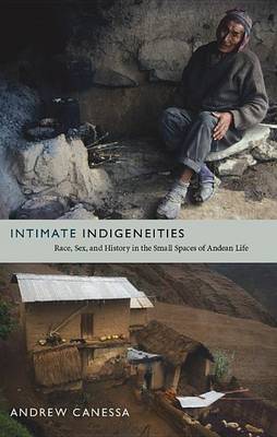 Cover of Intimate Indigeneities