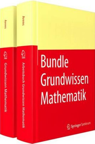 Cover of Grundwissen Mathematikstudium Mit Arbeitsbuch