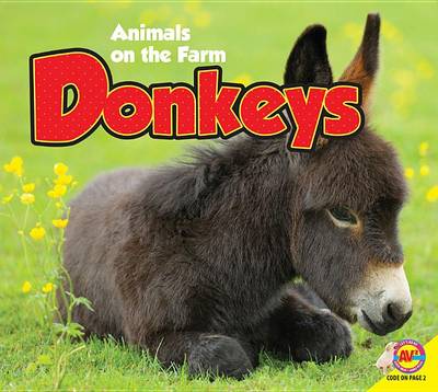 Book cover for Donkeys with Code