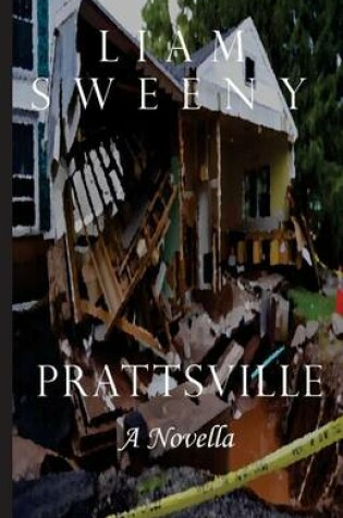 Cover of Prattsville