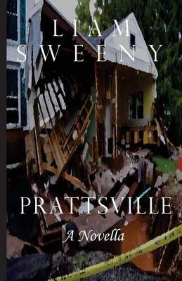 Book cover for Prattsville