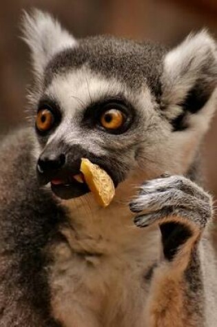 Cover of This Lemur Wonders Why People Complain About His Table Manners Journal