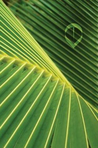 Cover of Palm Leaf Notebook