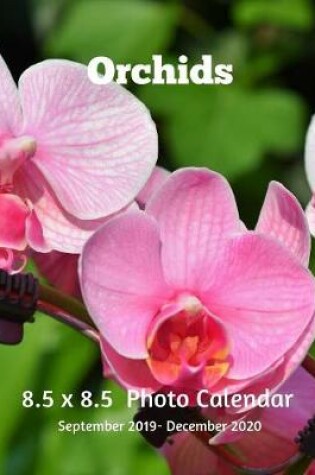 Cover of Orchids 8.5 X 8.5 Calendar September 2019 -December 2020