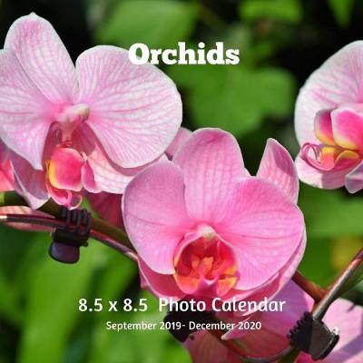 Book cover for Orchids 8.5 X 8.5 Calendar September 2019 -December 2020