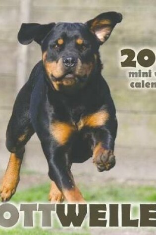 Cover of Rottweiler 2019 Mini Wall Calendar