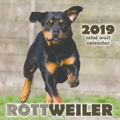 Book cover for Rottweiler 2019 Mini Wall Calendar