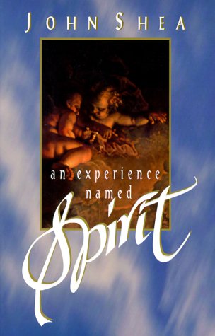 Book cover for An Experience Named Spirit