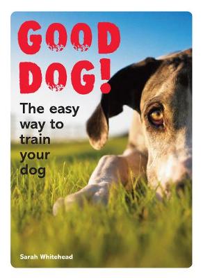 Book cover for Good Dog!