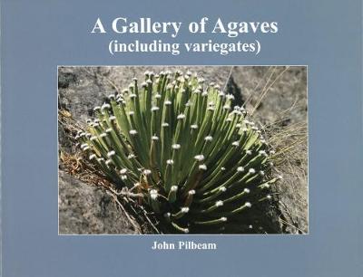 Book cover for A Gallery of Agaves (including variegates)