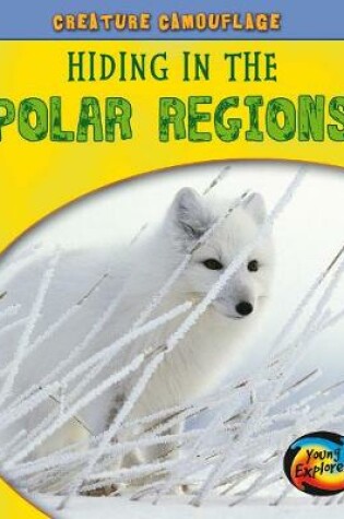 Cover of Hiding in the Polar Regions