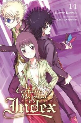 Cover of A Certain Magical Index, Vol. 14 (light novel)