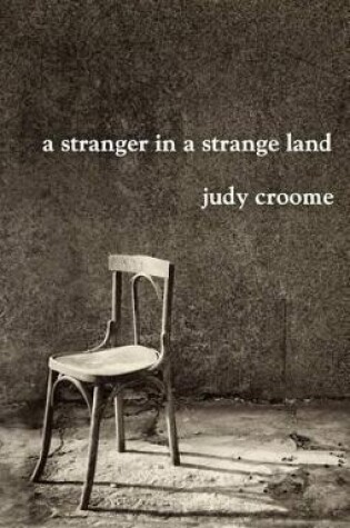 Cover of A Stranger in a Strange Land