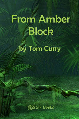 Book cover for From Amber Block