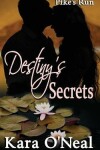 Book cover for Destiny's Secrets