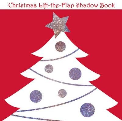 Book cover for Lift the Flap Shadow Christmas Book