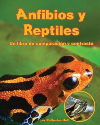 Book cover for Anfibios Y Reptiles: Un Libro de Comparación Y Contraste (Amphibians and Reptiles: A Compare and Contrast Book)