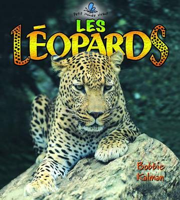 Book cover for Les Leopards