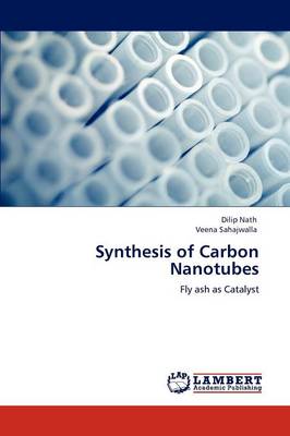 Book cover for Synthesis of Carbon Nanotubes