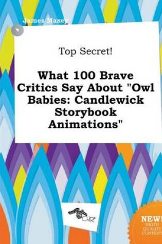 Cover of Top Secret! What 100 Brave Critics Say about Owl Babies