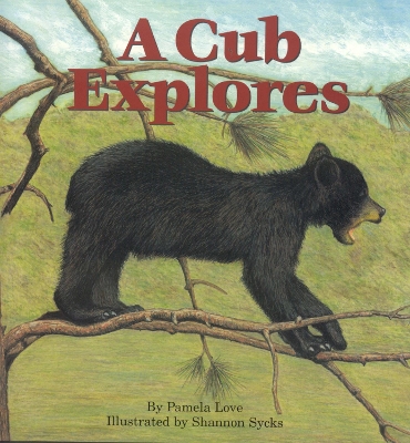 Book cover for A Cub Explores